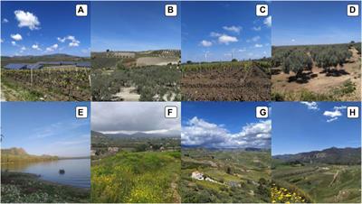 Learning from farmers on potentials and limits for an agroecological transition: a participatory action research in Western Sicily